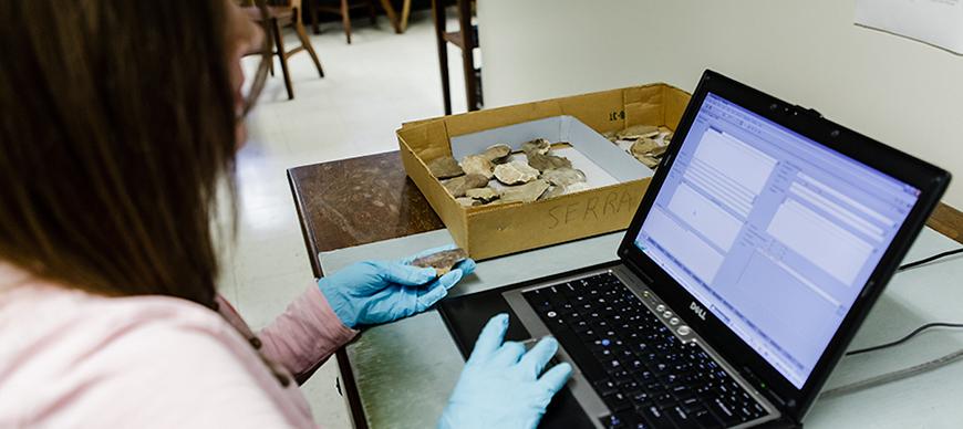 Registrar Susan Allison inputs data about an object into the Oriental Institute's Integrated Database