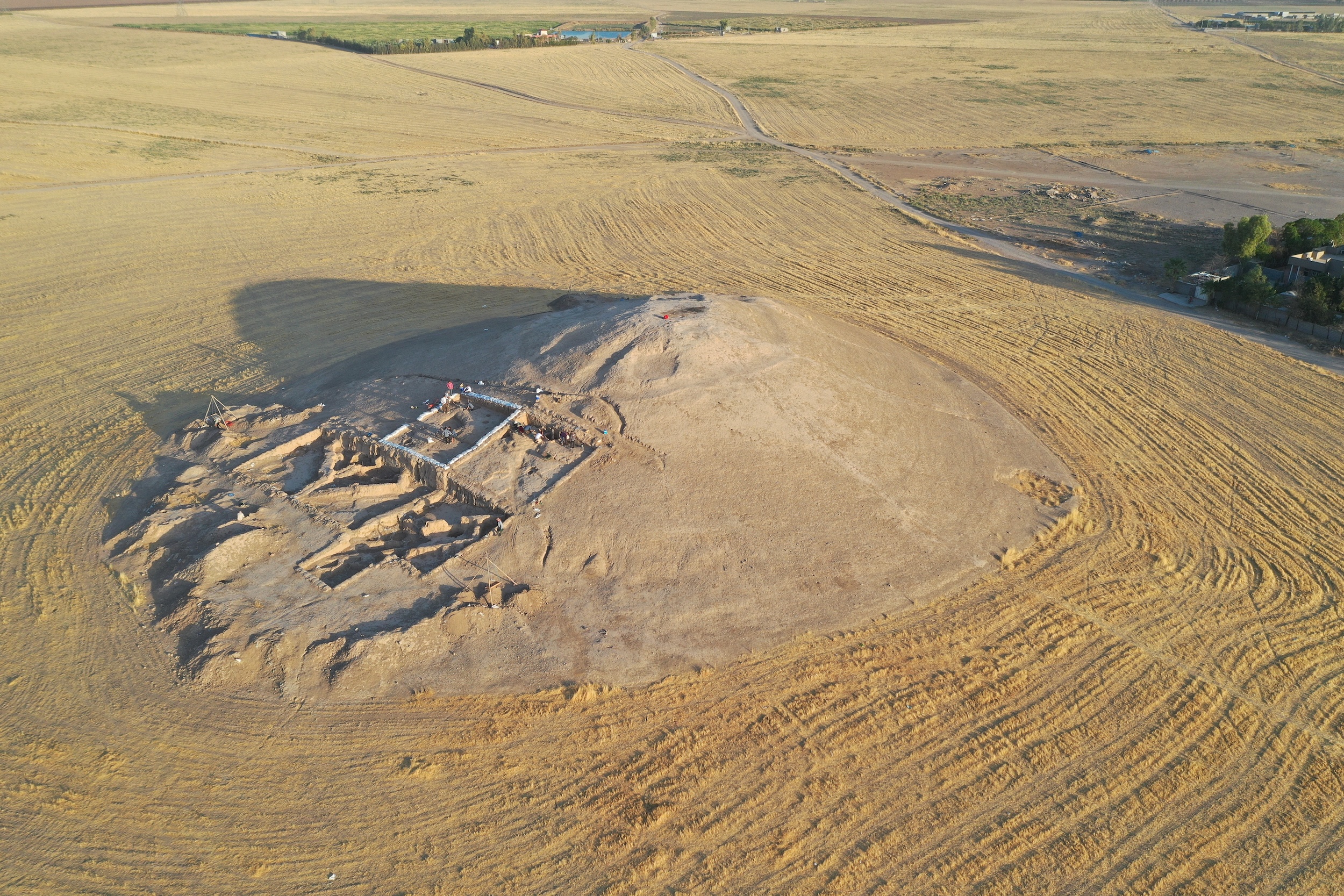 Surezha Archaeological Project