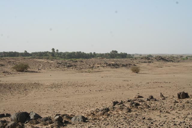 View of 'post-classic' Kerma cemetery on Umm Gebir Island (UGS 101; photo 6801).