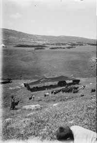 A Bedouin encampment (large tent of the sheikh and smaller ones of the clan). Taken either by the American Colony Photo Department or its successor the Matson Photo Service (between 1898 and 1946). Library of Congress, Prints and Photographs Division, LC-DIG-matpc-05979